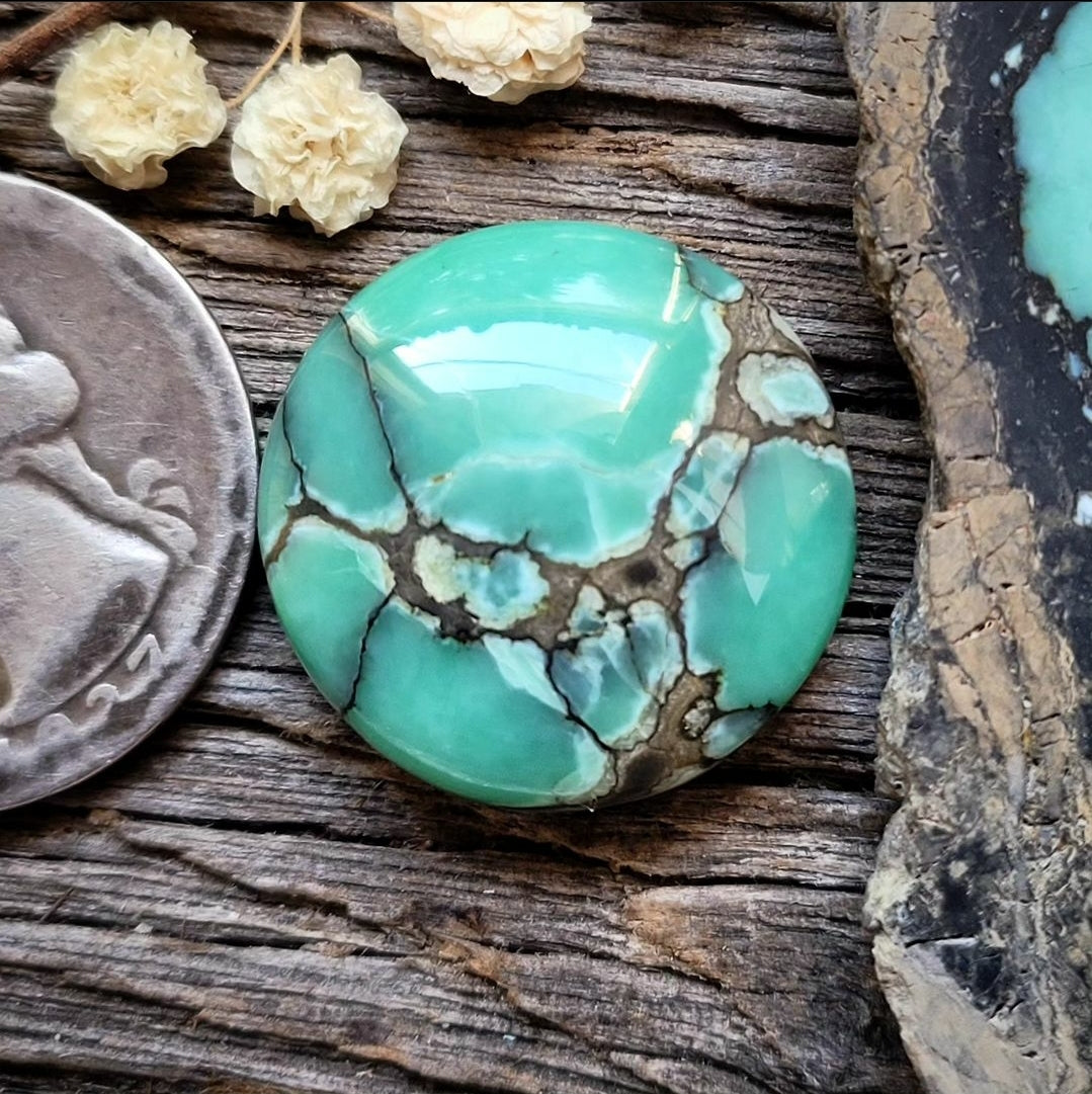 Desert Bloom Variscite Round 21mm Cab Turquoise Obsession