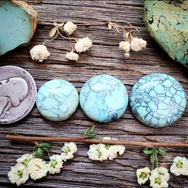 Natural Bamboo Mountain Turquoise Round Set Cabochon
