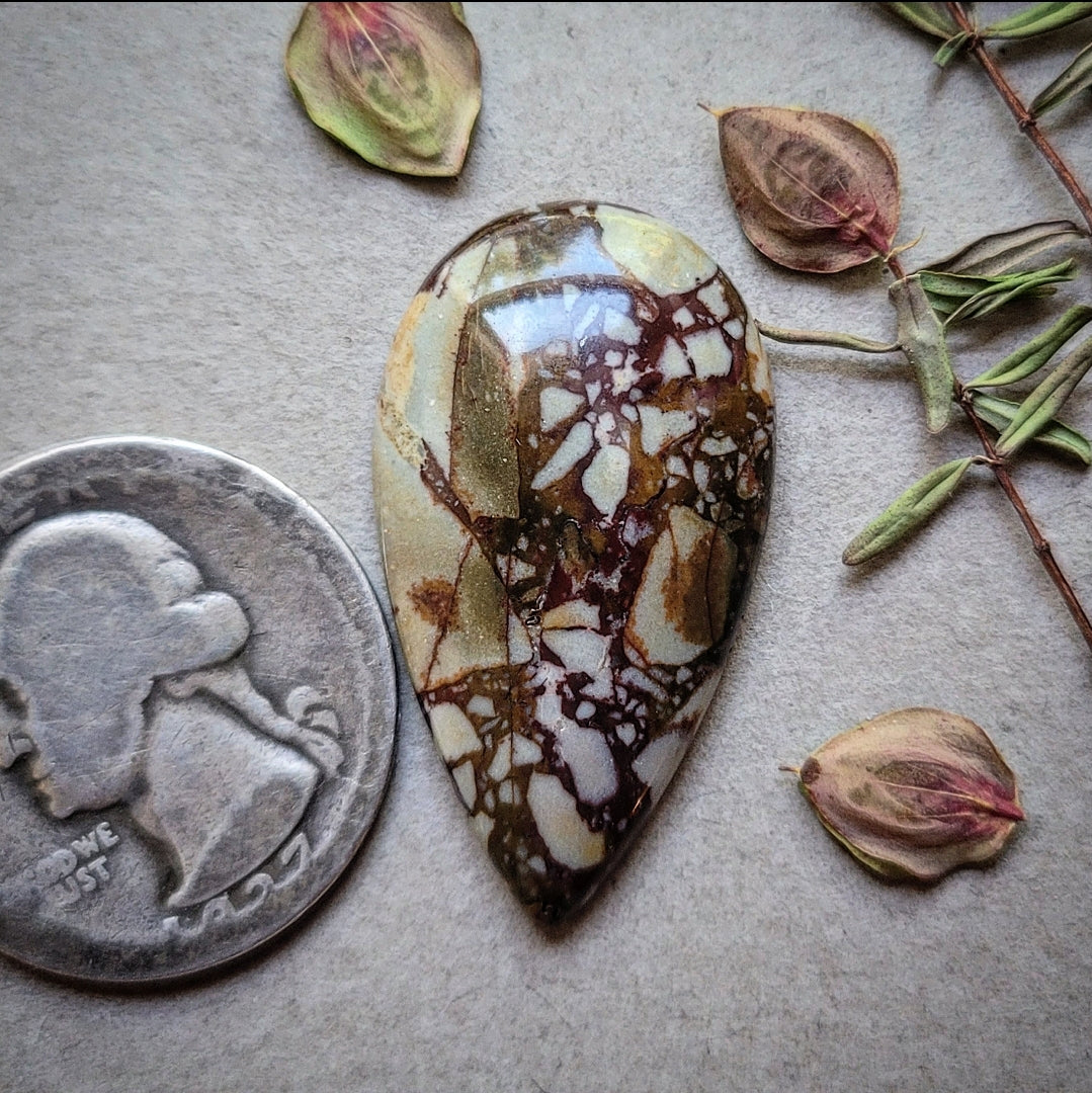 Dead Camel Jasper Teardrop 32x18mm Cab | Turquoise Obsession