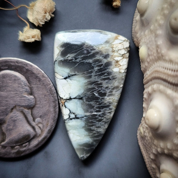 Luna Lacuna Drop Cabochon