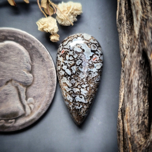 Dinosaur Bone Drop Cabochon