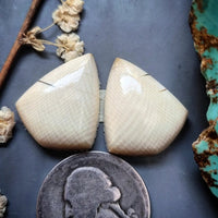 Alaskan WMT Drop Set Cabochon