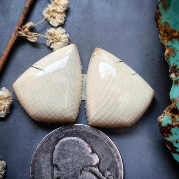 Alaskan WMT Drop Set Cabochon