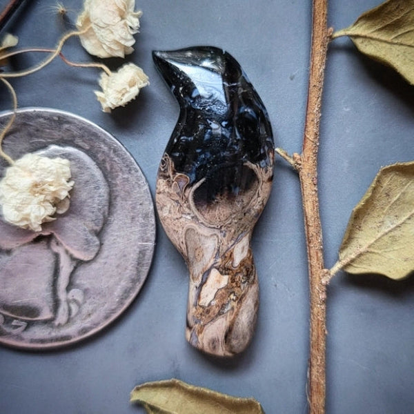 Palm Root Magpie Cabochon