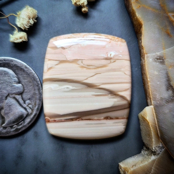 Saturn Chalcedony Cushion Cut Cabochon