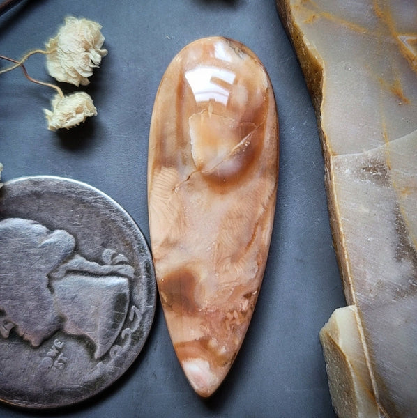 Peach Pit Drop Cabochon