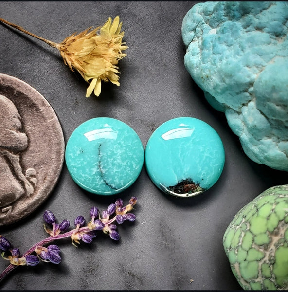 Campitos Turquoise Round Set Cabochon