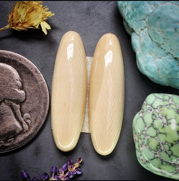 Alaskan WMT Oval Earring Pair Cabochon