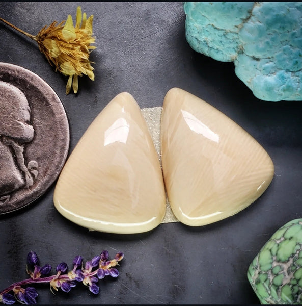Alaskan WMT Drop Earring Pair Cabochon