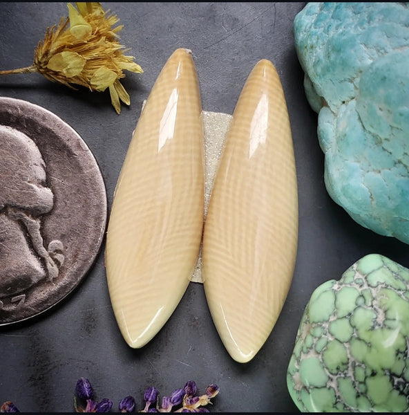 Alaskan WMT Drop Earring Pair Cabochon