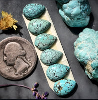 Natural Hubei Turquoise Drop Calibrated Set Cabochon