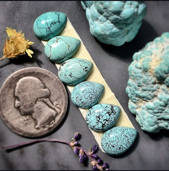Natural Hubei Turquoise Drop Calibrated Set Cabochon