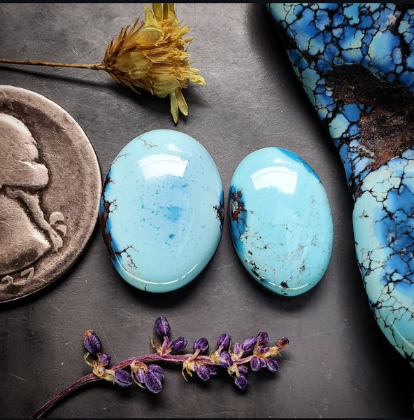 Golden Hills Turquoise Oval Set Cabochon