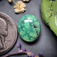 Lime Green Hubei Turquoise Oval Cabochon