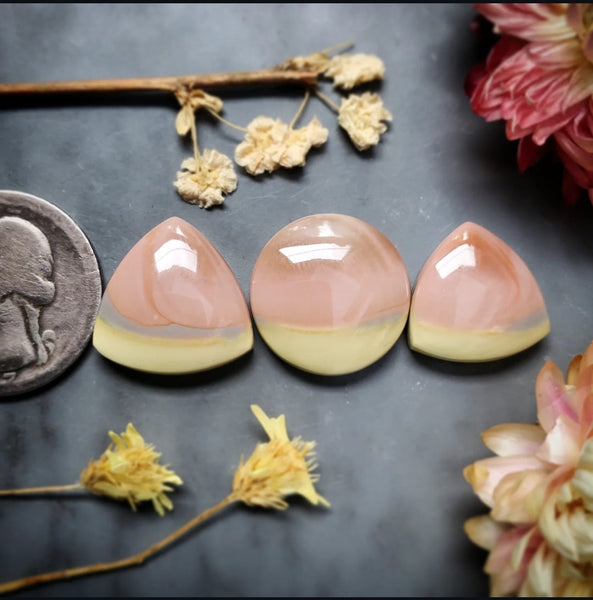 Royal Imperial Jasper Trillion Round Set Cabochon