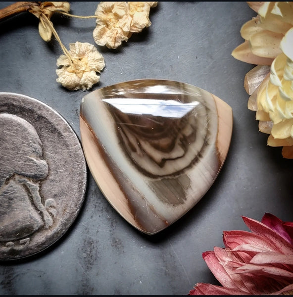 Royal Imperial Jasper Trillion Cabochon