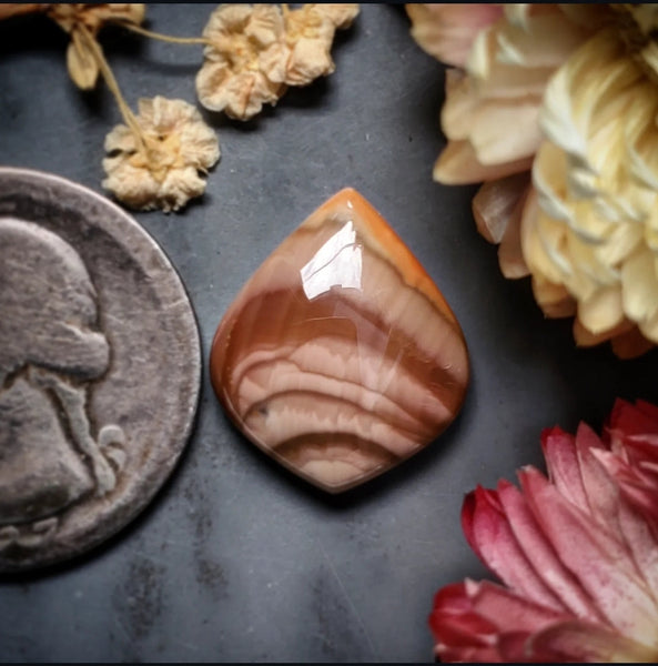 Royal Imperial Jasper Petal Cabochon
