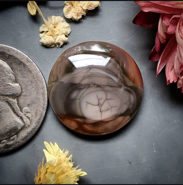 Royal Imperial Jasper Round Cabochon