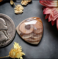 Royal Imperial Jasper Trillion Cabochon