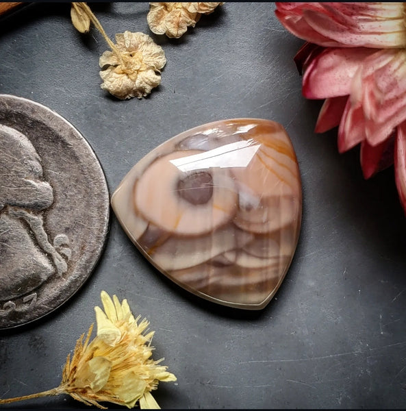 Royal Imperial Jasper Trillion Cabochon