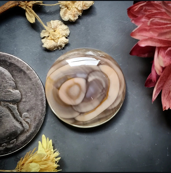 Royal Imperial Jasper Round Cabochon