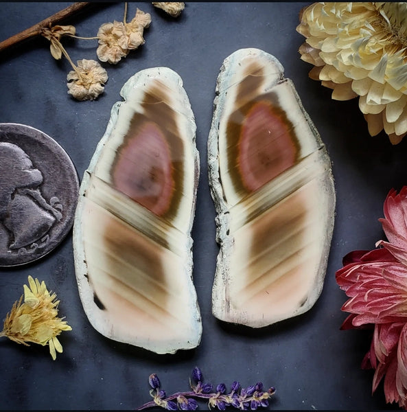 Royal Imperial Jasper Raw Freeform Slice Cabochon