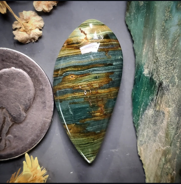 Gary Green Freeform Fang Cabochon