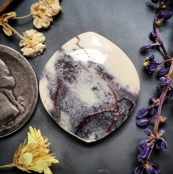 Sci-Fi Porcelain Jasper Marquise Cabochon