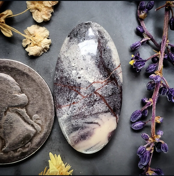 Sci-Fi Porcelain Jasper Oval Cabochon