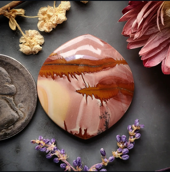 Red Falcon Jasper Marquise Cabochon