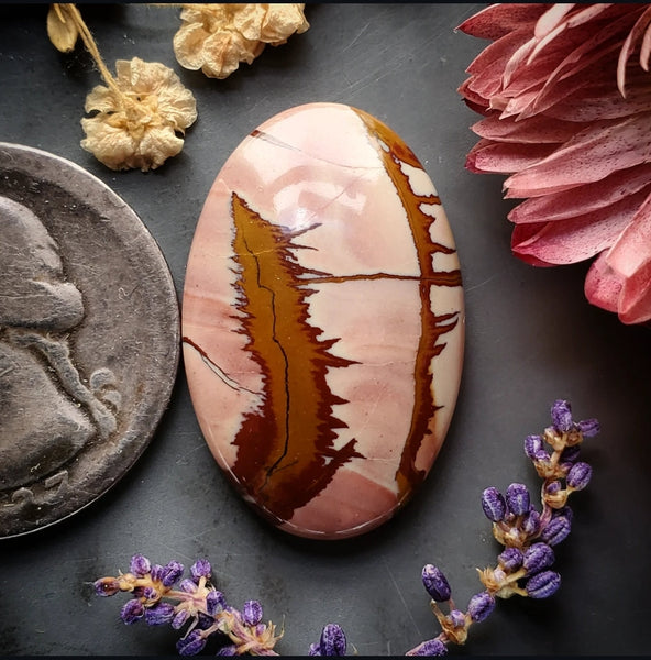 Red Falcon Jasper Oval Cabochon