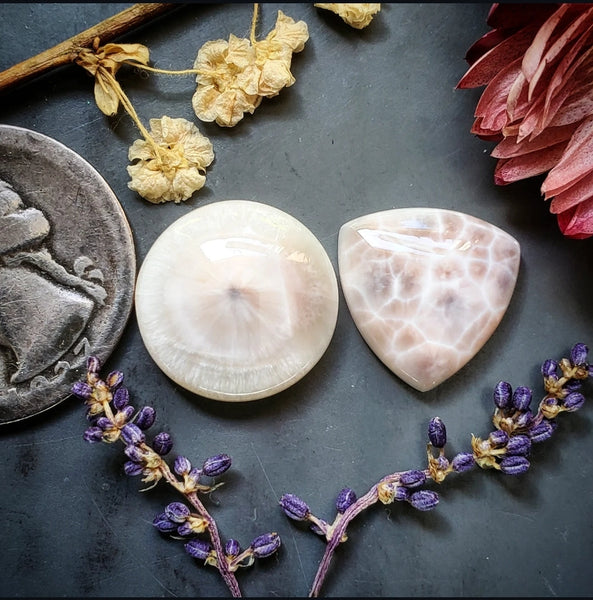 Natrolite Trillion Round Set Cabochon