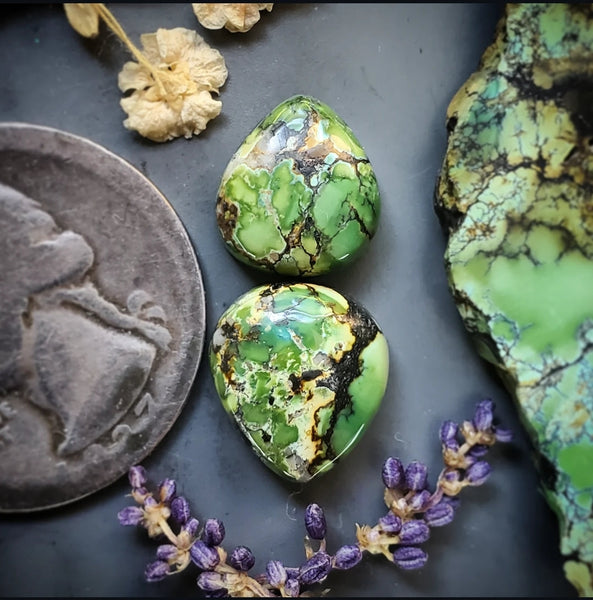 All Natural Amazon-Green Turquoise Drop Set Cabochon