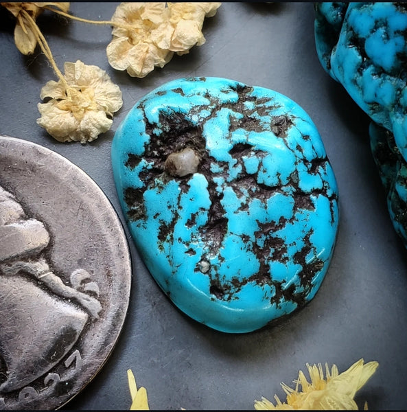 Vintage Kingman Quinn Cut Turquoise Freeform Cabochon