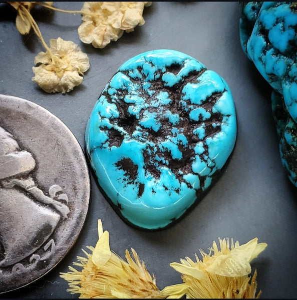 Vintage Kingman Quinn Cut Turquoise Freeform Cabochon