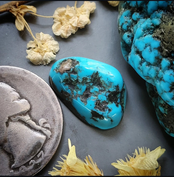 Vintage Kingman Quinn Cut Turquoise Freeform Cabochon