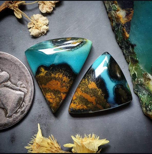 Bacan Chrysocolla Chalcedony Freeform Earring Pair Cabochon