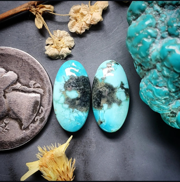 Campitos Turquoise Oval Set Cabochon