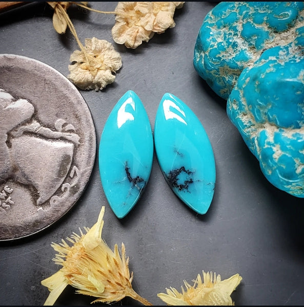Campitos Turquoise Marquise Set Cabochon