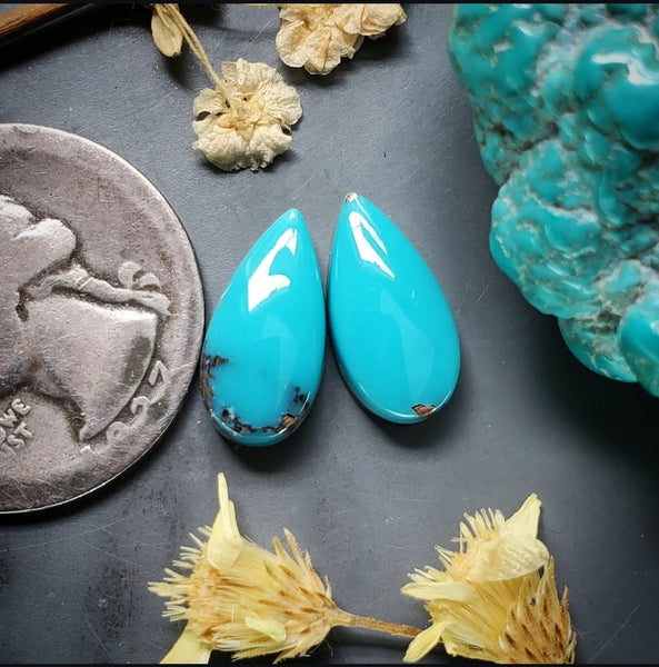Campitos Turquoise Drop Set Cabochon