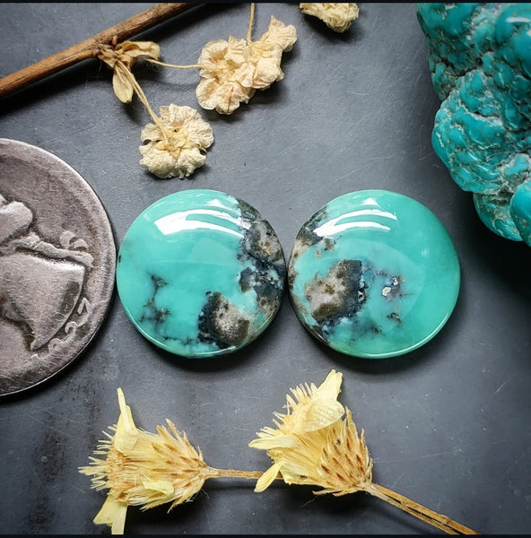 Campitos Turquoise Round Set Cabochon