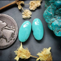Campitos Turquoise Oval Set Cabochon