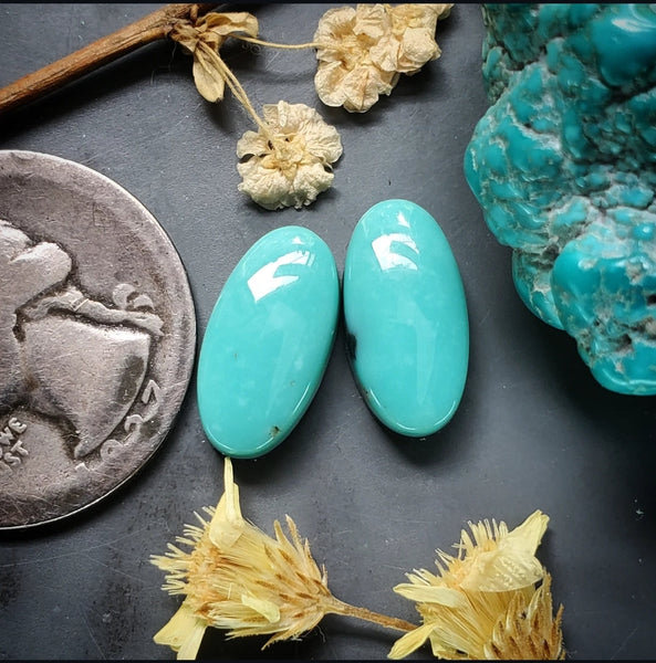 Campitos Turquoise Oval Set Cabochon