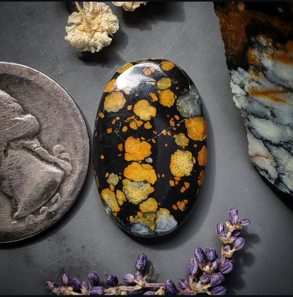 Dark Moon Oval Cabochon