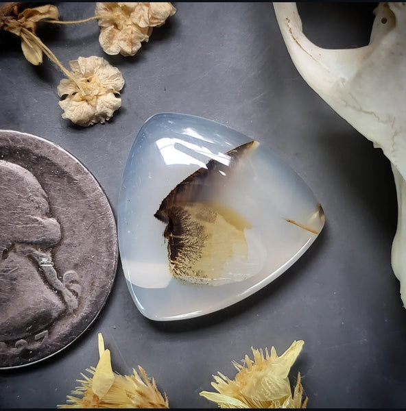 Montana Agate Trillion Cabochon