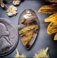 Montana Agate Drop Cabochon