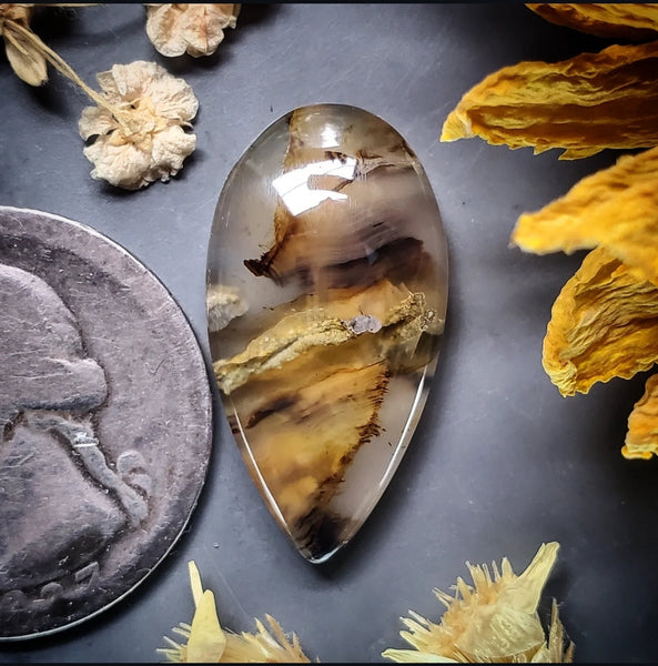 Montana Agate Drop Cabochon
