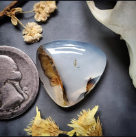 Montana Agate Trillion Cabochon