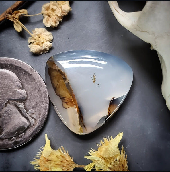 Montana Agate Trillion Cabochon