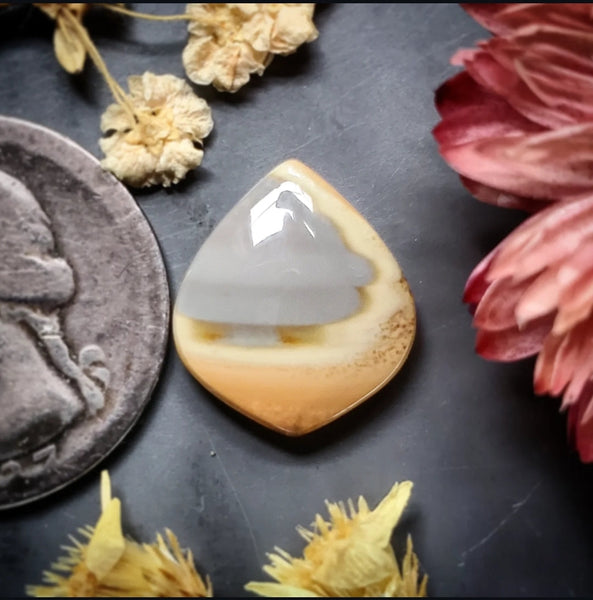 Imperial Jasper Drop Cabochon